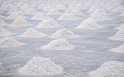 The Science Behind Dead Sea Salts: What Makes Them Different from Regular Salts?